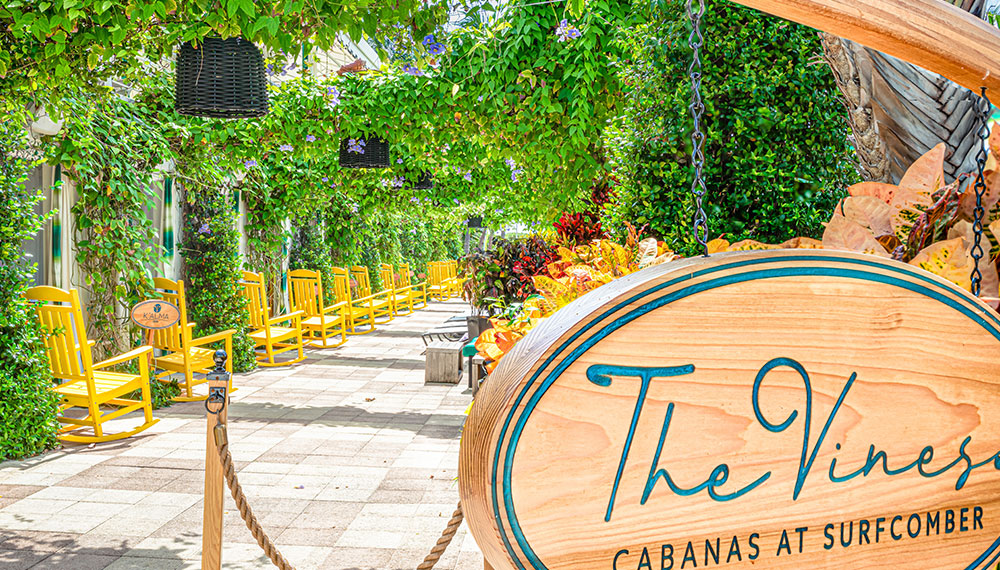 Graphic that says Live DJ