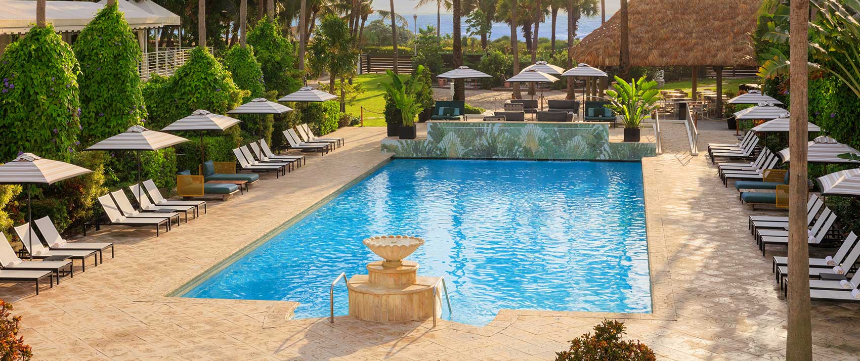 View Packages & Promotions